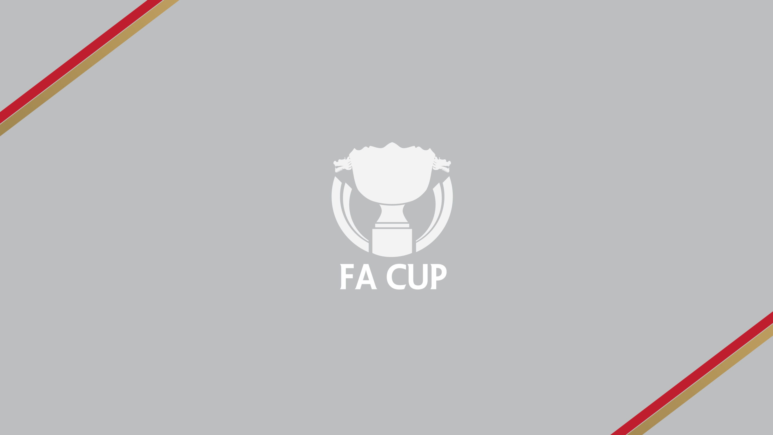 The Football Association of Hong Kong, China Limited